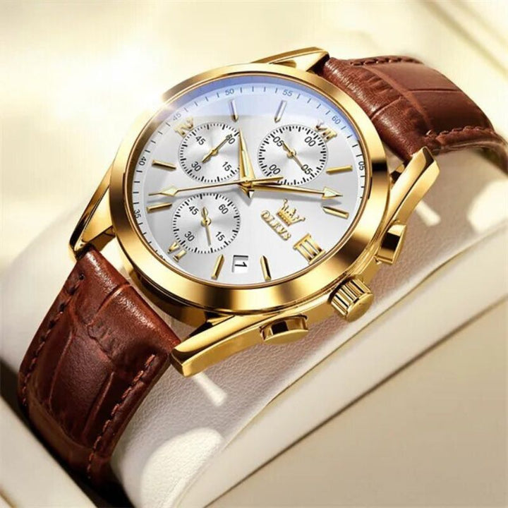 Montre Chronographe Luminous Quartz